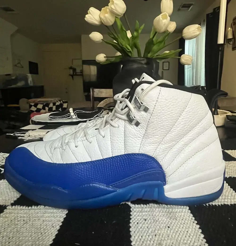 Air Jordan 12 Retro 'Blueberry' (CT8013-140)
